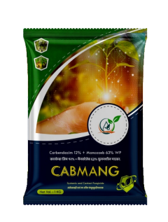 Cabmang